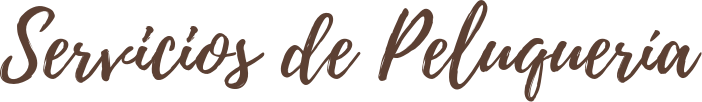 Servicios de peluquería